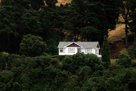 Marlborough Sound, New Zealandの写真素材