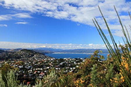 View From Wrights Hill, Wellington, New Zealand