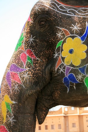 Amber Fort - a historic site in Jaipur, Indiaの写真素材
