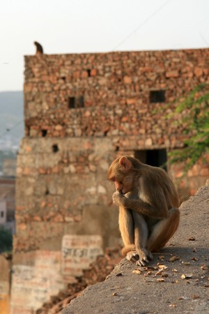 Temple of the Sun, a historic monument in the city of Jaipur, India