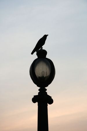 Victoria Memorial a famous landmark in the city of Calcutta / Kolkata, Indiaの写真素材