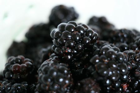 Bowl of Fresh Blackberries - Healthy Eatingの写真素材