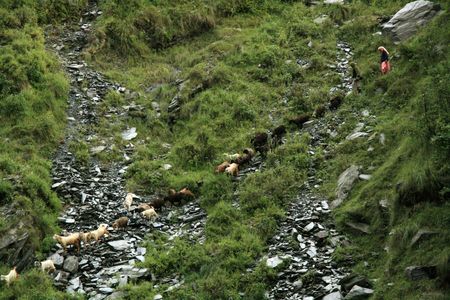 Mcleod Ganj, remote town in northern Indiaの写真素材