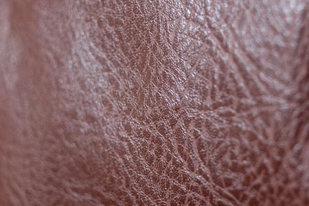 High Class Womens Leather Hand Bag / Purseの写真素材