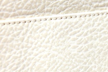 High Class Womens Leather Hand Bag / Purseの写真素材