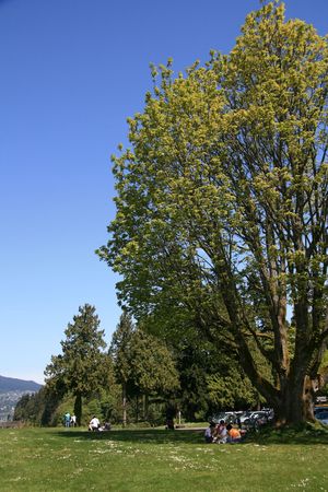 Stanley Park, One of the Largest Urban Park's in The World - Vancouver, BC, Canadaの写真素材