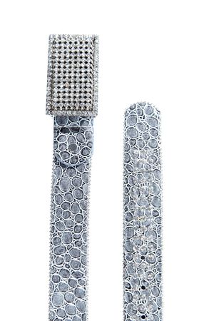 High Class, Expensive, Women's Fashion Beltの写真素材