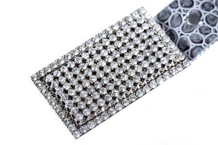 High Class, Expensive, Women's Fashion Beltの写真素材
