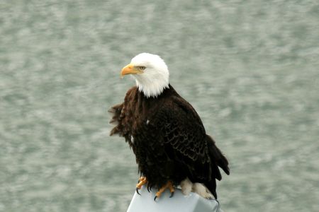 Juneau - The Capital City of Alaska, USA