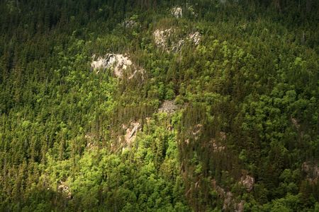 Helicopter Flight Over Mendenhall Glacier, Skagway, Alaska, USAの写真素材