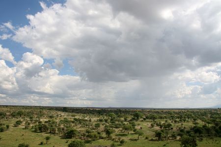 Tarangire National Park - Wildlife Reserve in Tanzania, Africaの写真素材