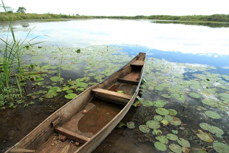 Peaceful River Setting - Agu River in Uganda - The Pearl of Africaの写真素材