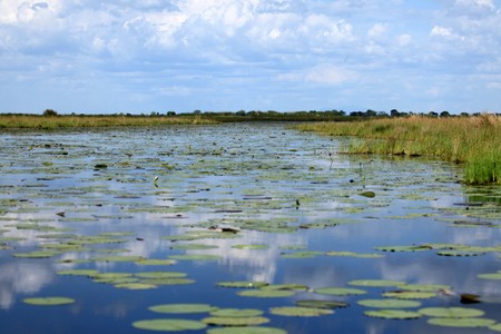Lake Anapa in Uganda - The Pearl of Africaの写真素材