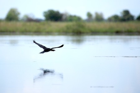 Lake Anapa in Uganda - The Pearl of Africaの写真素材