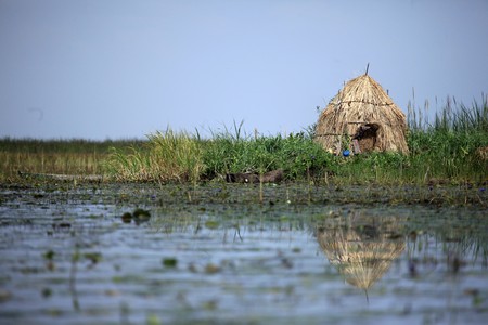 Floating Fishing Village - Uganda - The Pearl of Africaの写真素材