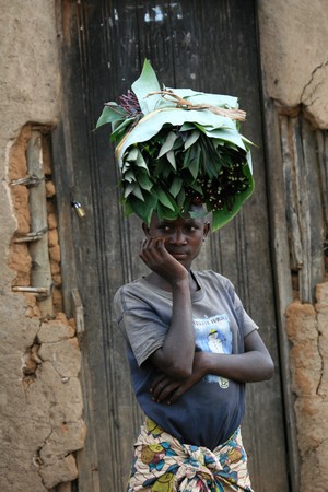 DR CONGO - NOV 2ND : Refugees cross from DR Congo into Uganda at the border village of Busanza in Kisoro district on 2nd November 2008のeditorial素材
