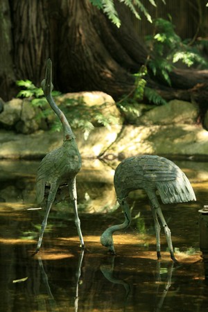 Japanese Garden - Butchart Gardens, Victoria, Vancouver Island -  BC, Canadaの写真素材