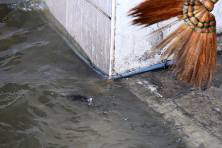 BANGKOK, THAILAND - NOVEMBER 17 : Flooding in Samsen Road after the heaviest rains in 20 years in Thailand on Nov 17, 2011 in Bangkok, Thailandのeditorial素材