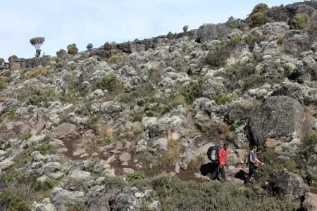 Mt Kilimanjaro climbing expedition in Tanzania, Africaのeditorial素材