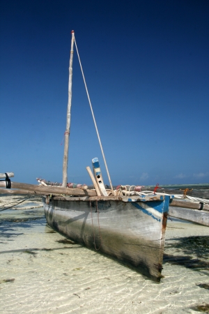 Matemwe Beach on Zanzibar Island, Tanzaniaの写真素材