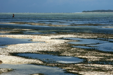 Matemwe Beach on Zanzibar Island, Tanzaniaの写真素材