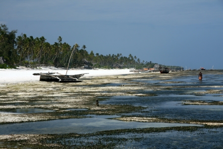 Matemwe Beach on Zanzibar Island, Tanzaniaの写真素材