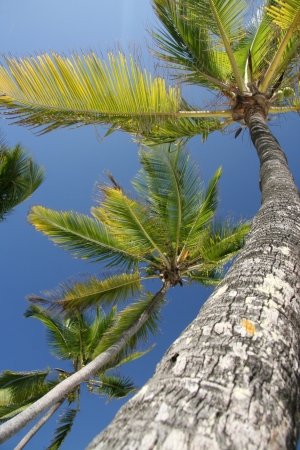 Expensive Classy Five Star Resort in Africaの写真素材