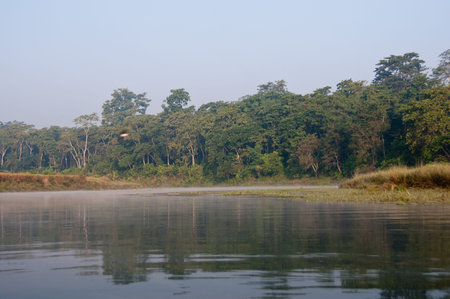 River Running Through Royal Chitwan National Park in Nepal