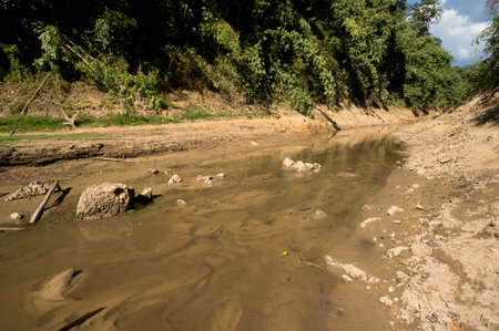 River at Khao Sok National Park, Thailand