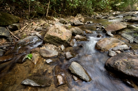 Freshwater at Khao Sok National Park, Thailandの写真素材