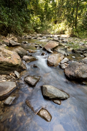 Freshwater at Khao Sok National Park, Thailandの写真素材