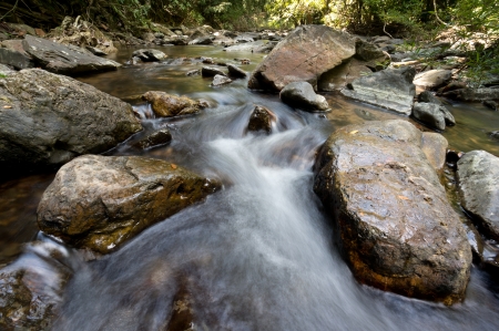 Freshwater at Khao Sok National Park, Thailandの写真素材