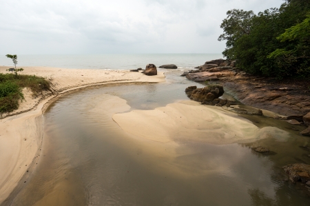 National Park in Penang, Malaysiaの写真素材