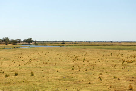 Chobe National Park, Botswana, Africaの写真素材
