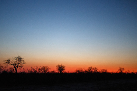 Chobe National Park, Botswana, Africaの写真素材