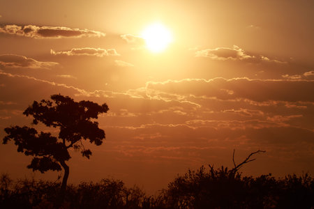 Sunset Over The Chobe National Park, Botswana, Africa