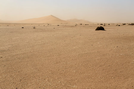 Dune 7 in Namib Desrt, Namibia, Africa