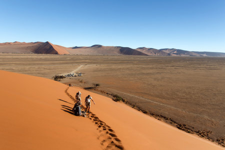 SOSSUSVLEI, NAMIBIA - NOVEMBER 2 2013: Tourists climb Dune No.45 in a year that was declared as a drought year by the government in Namibia, Africaのeditorial素材