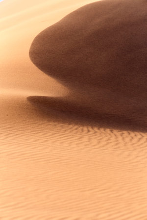 Sand Dune Landscape at Sossusvlei in the Namib Desert, Namibia, Africaの写真素材