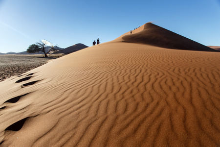SOSSUSVLEI, NAMIBIA - NOVEMBER 2 2013: Tourists climb Dune No.45 in a year that was declared as a drought year by the government in Namibia, Africaのeditorial素材