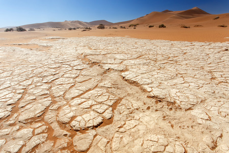 Sossusvlei in the Namib Desert, Namibia, Africaの写真素材