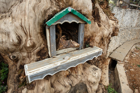 Shrine inside a tree in Falam in the recently opened to foreigners area of Chin State - western Myanmar (Burma)の写真素材