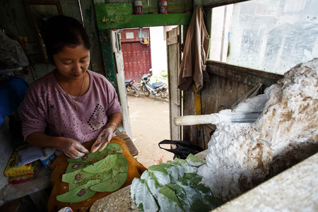 CHIN STATE, MYANMAR - JUNE 18 2015: Woman making leaves of bettlenut in the recently opened for tourists Chin State Mountainous Region, Myanmar (Burma)のeditorial素材