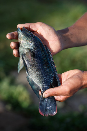 RHI LAKE, MYANMAR - JUNE 21 2015: Local fisherman on the daily fishing trip at the start of the monsoon season in the recently opened to tourists Chin State region of Western Myanmar (Burma)のeditorial素材