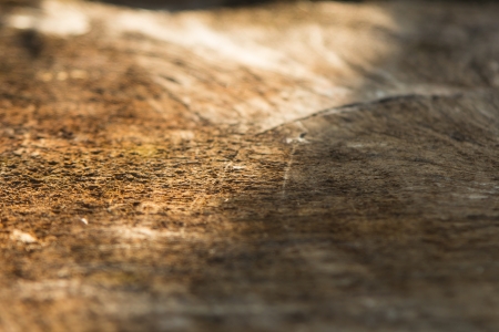 Wood texture in shadow and sunlightの写真素材