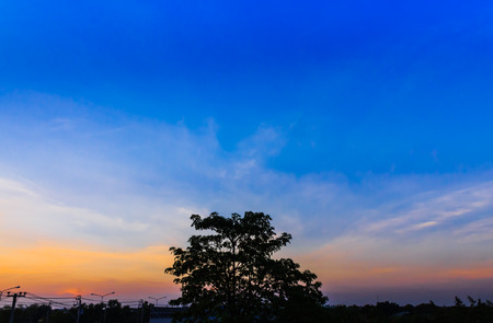 sunset sky and cloud with tree silhouette in the eveningの写真素材