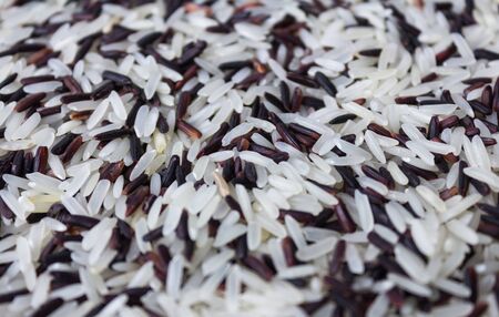 Organic Thai riceberry mixed with Thai jasmine rice for texture and backgroundの写真素材
