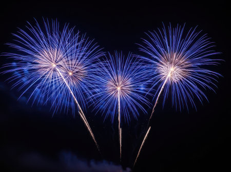 Fireworks display isolated on transparent backgroundの素材