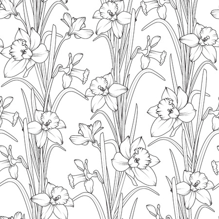 Daffodils narcissus spring flowers seamless pattern black and whiteのイラスト素材