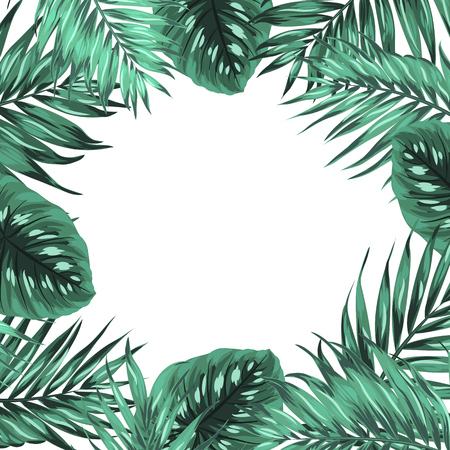 Exotic tropical jungle rainforest bright green palm tree and monstera leaves frame template with place for text on white background. Vector design illustration.のイラスト素材